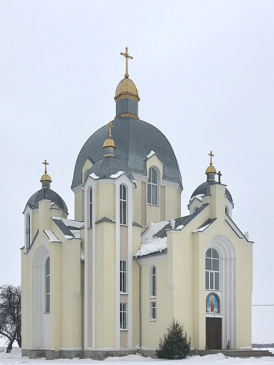 Vivsia