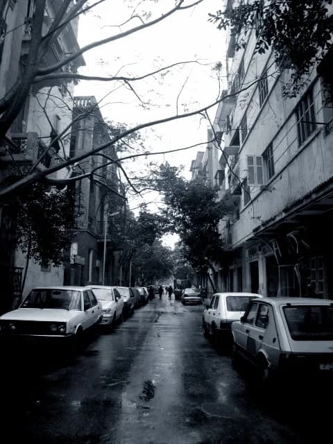 Rod El Farag