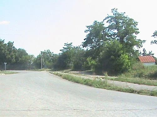 Wilchowez