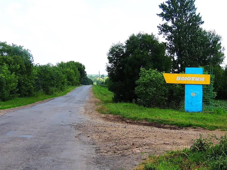 Voiutyn