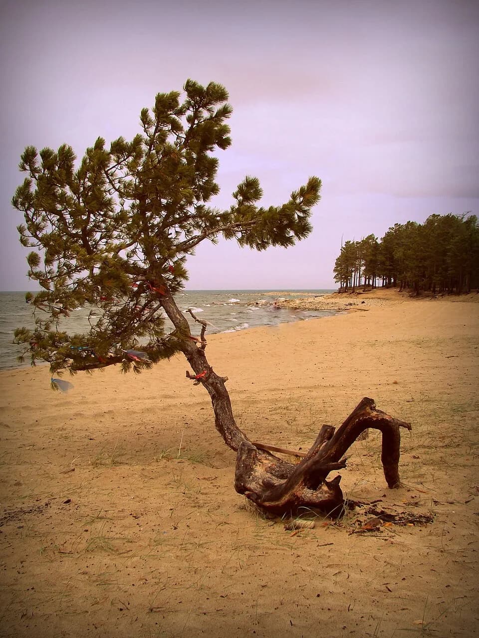 Goryachinsk