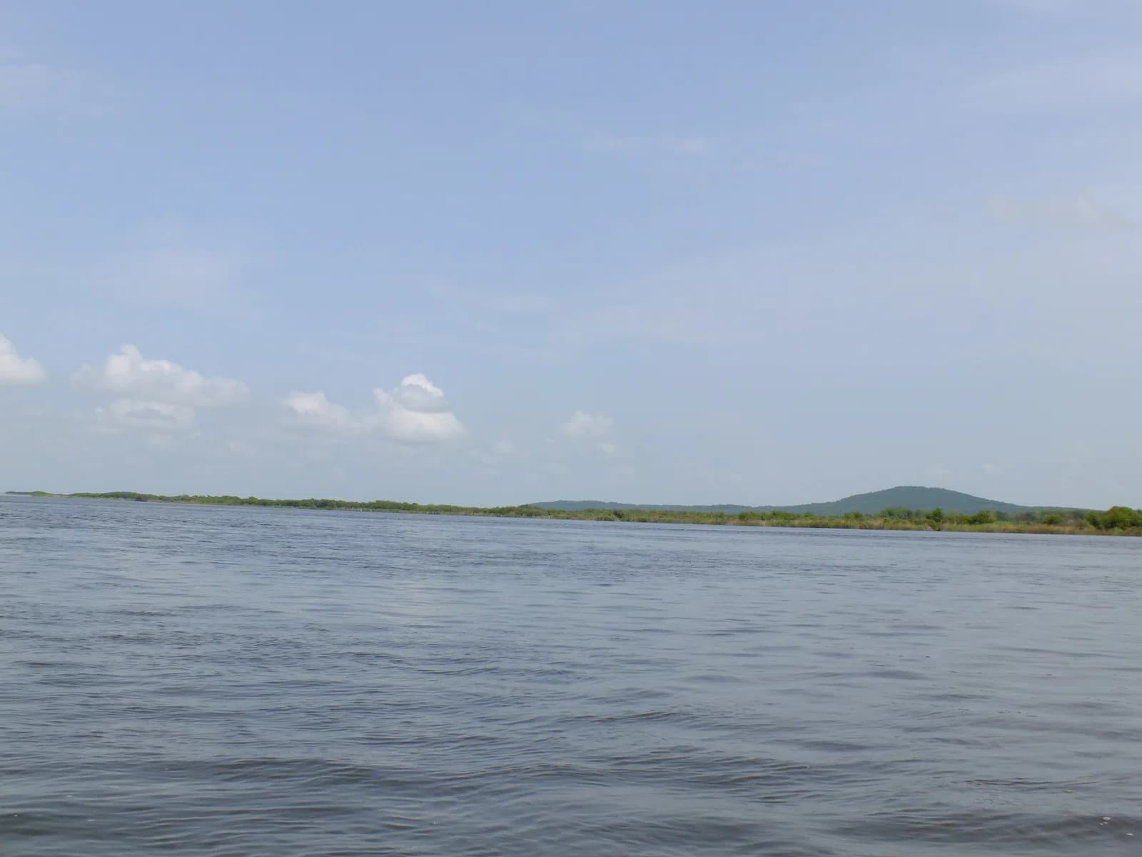 Dżari