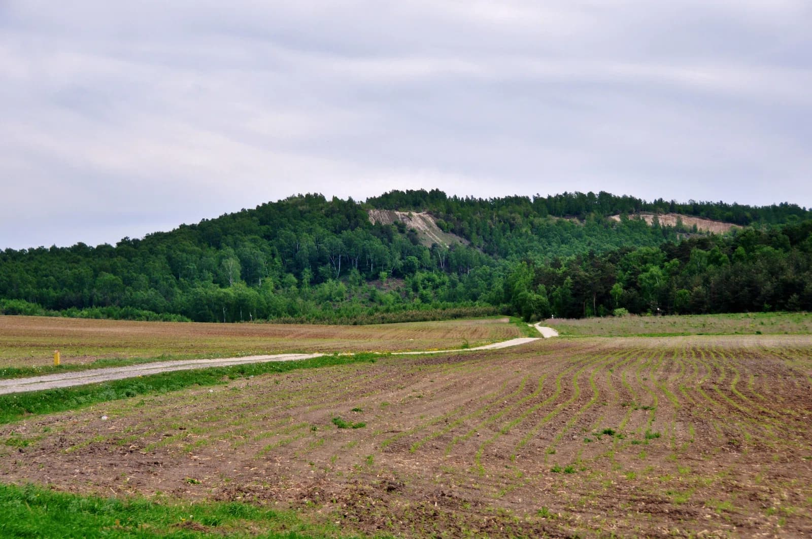 Dunayiv