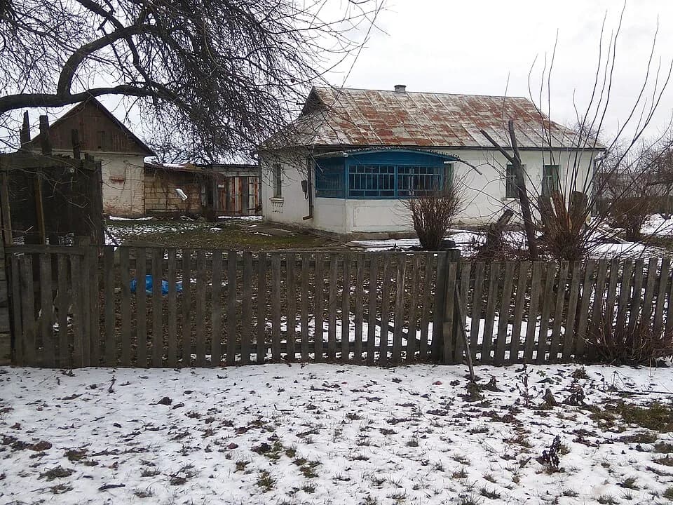 Koniushivka