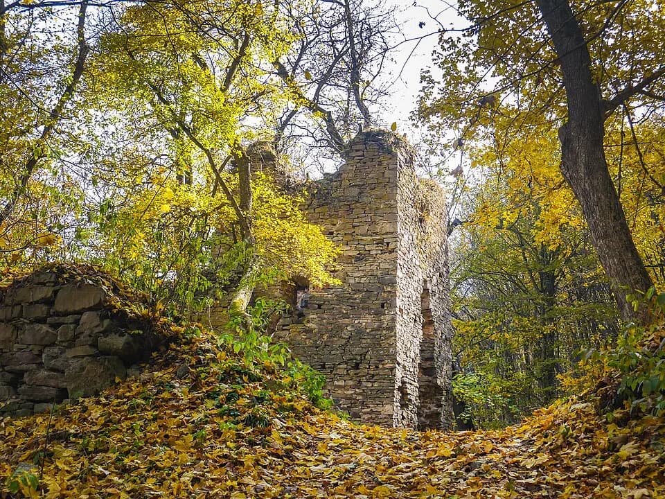 Zhyznomyr