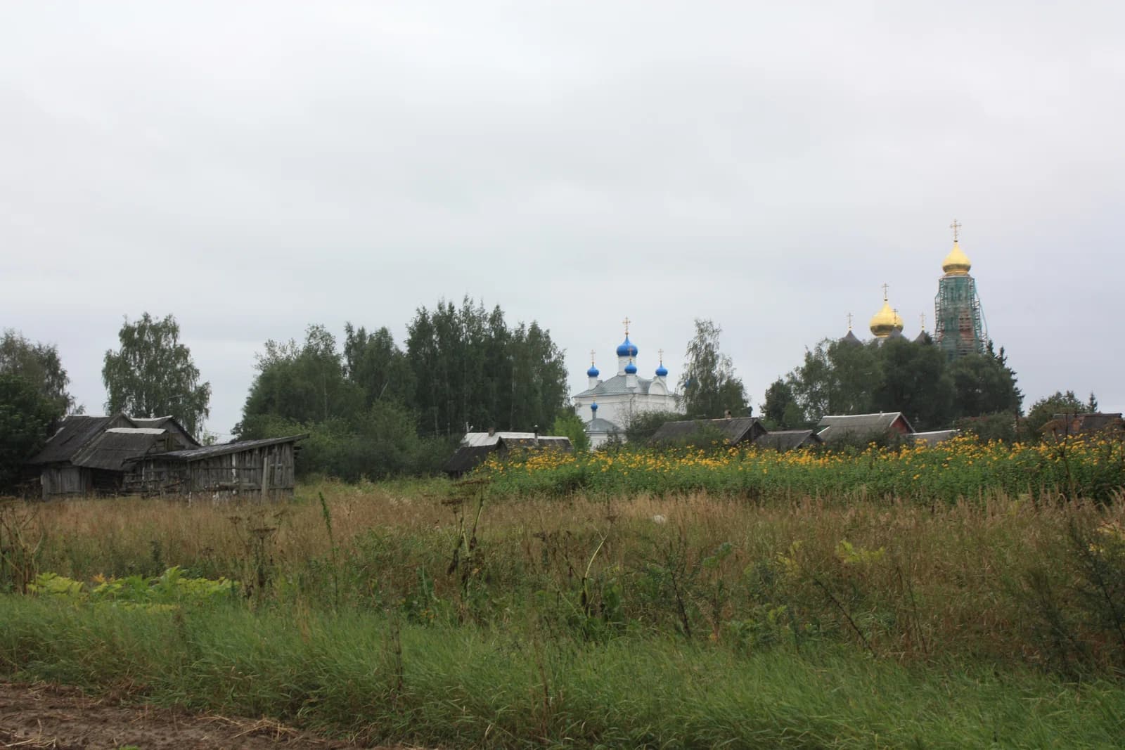 Zavidovo
