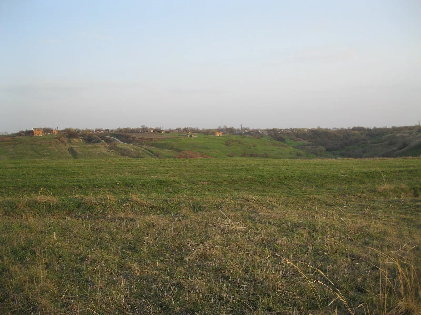 Zamozhne