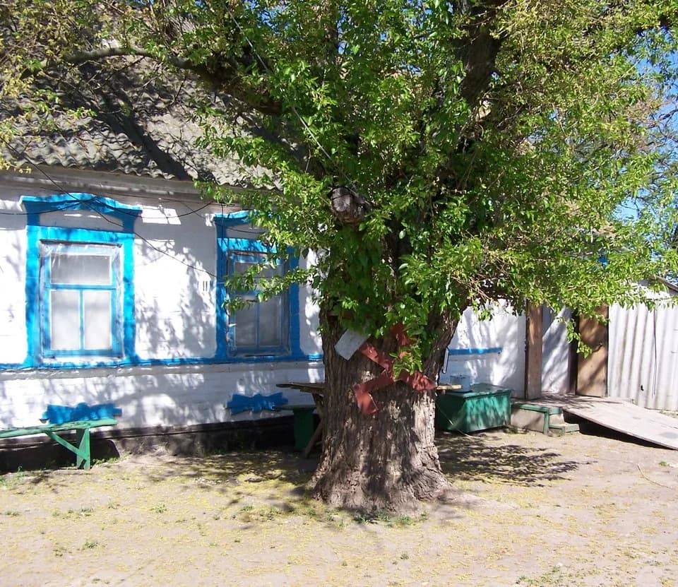 Zelenivka