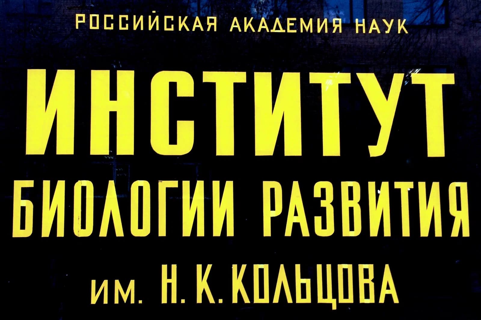 Koltzov Institute of Developmental Biology