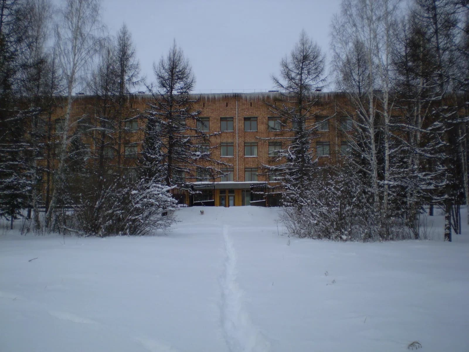 Sukachev Institute of Forest