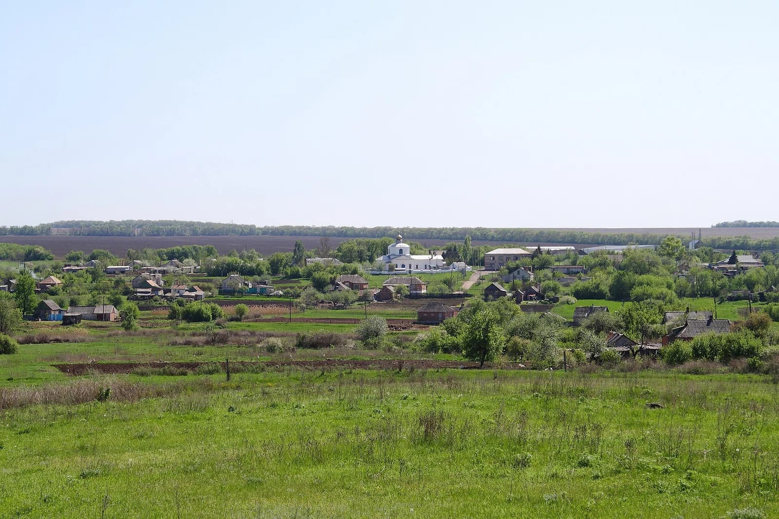 Kodema