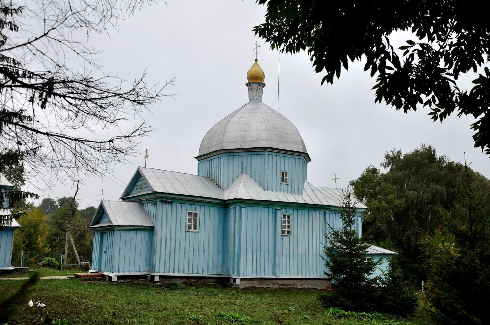 Kolesnyky