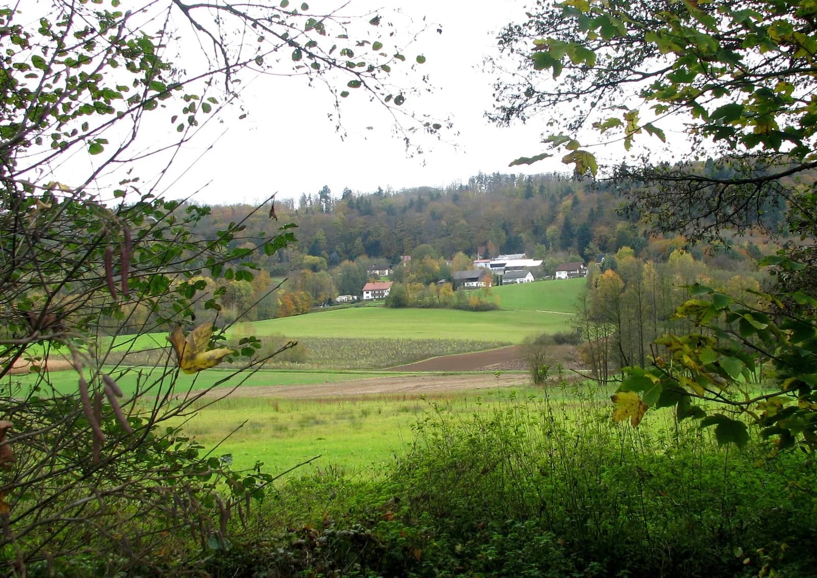 Haimburg