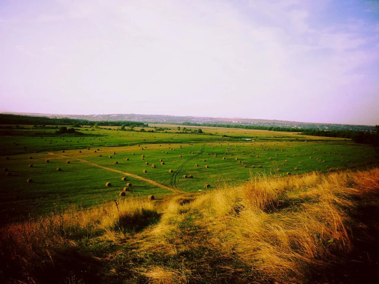 Koczko-Pożarki
