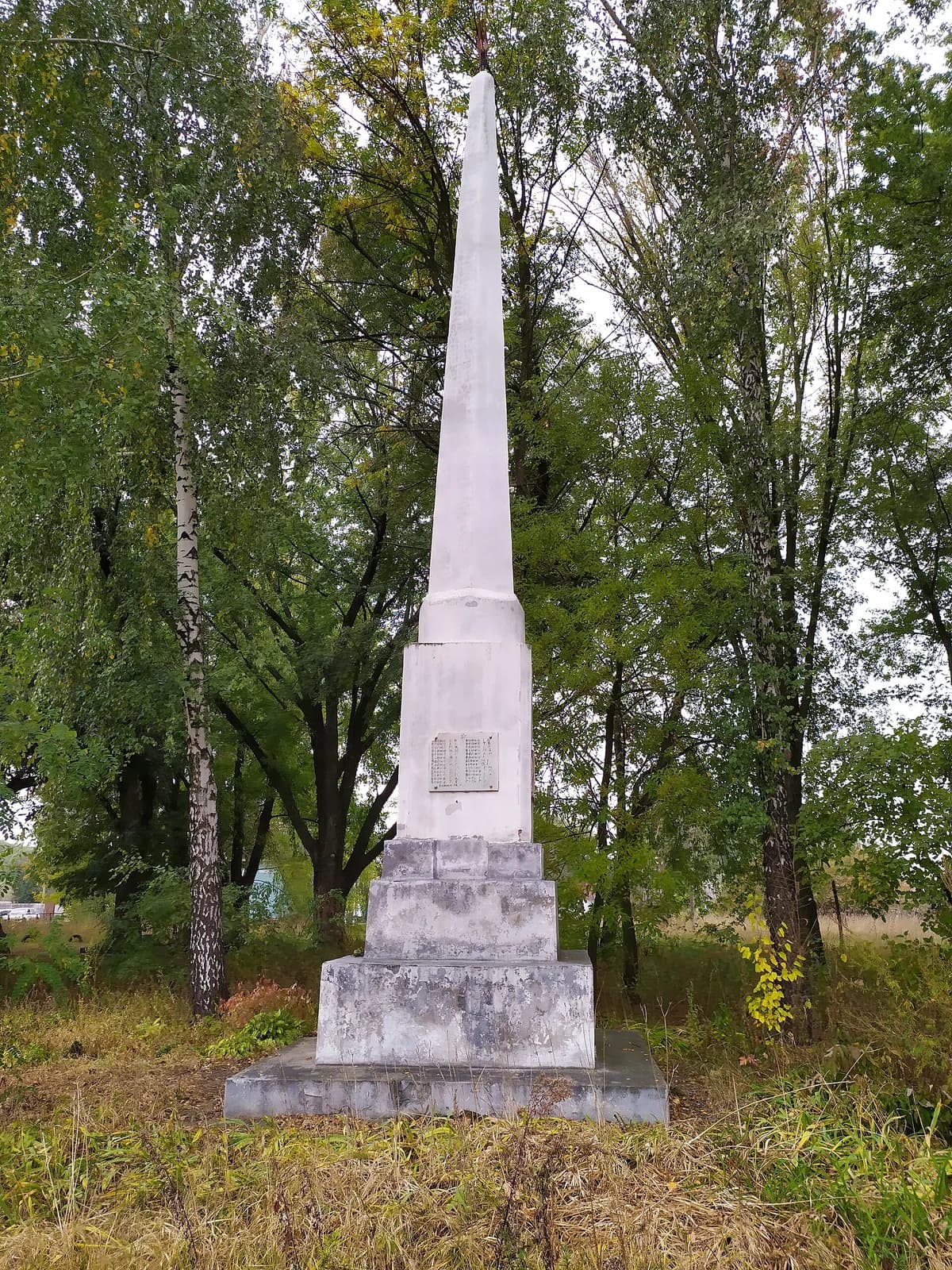 Kropyvne