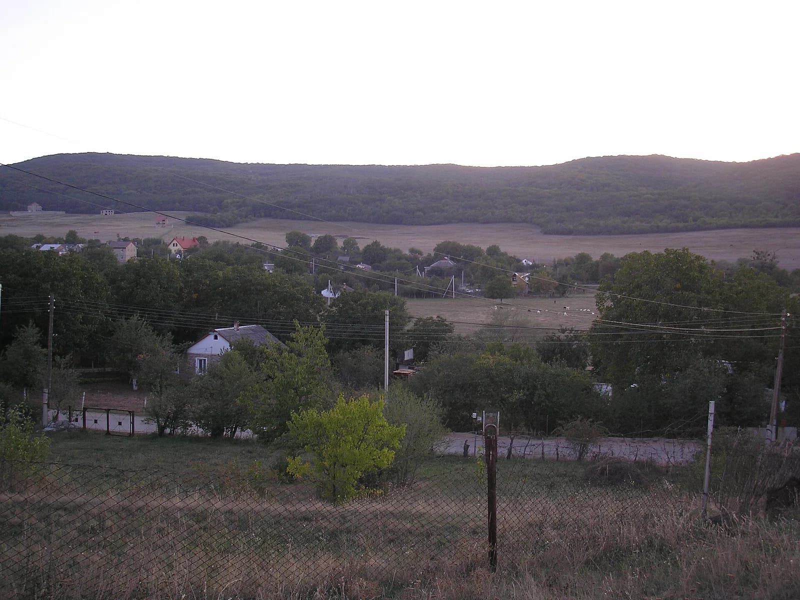 Krasnolissia