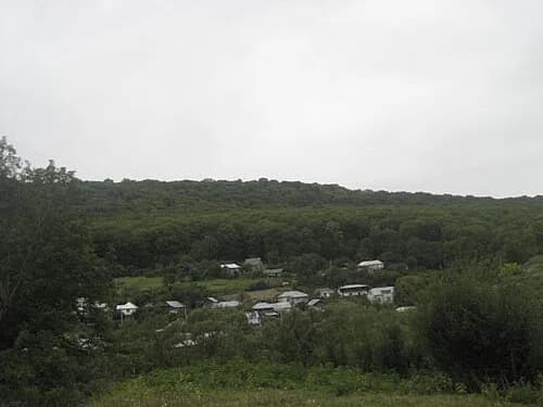 Kryntsiliv