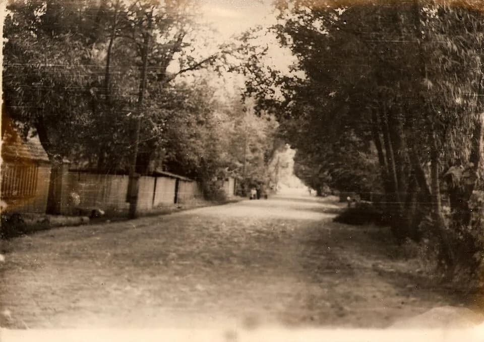 Kulykivka
