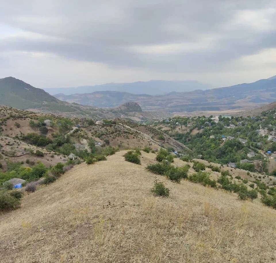 Quşçu Ayrım