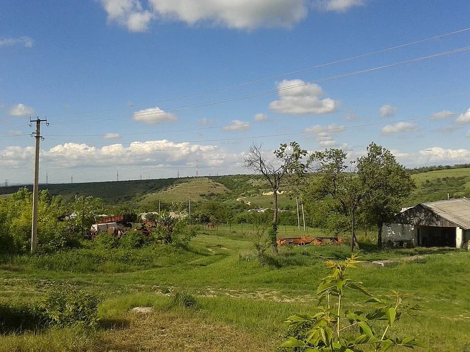 Lisnosillia