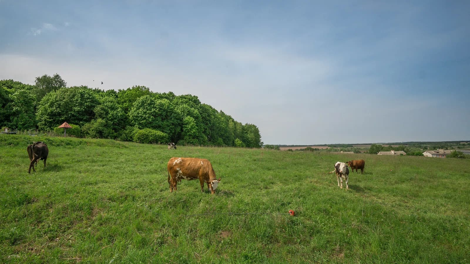 Lukino, Bogorodsky District‎