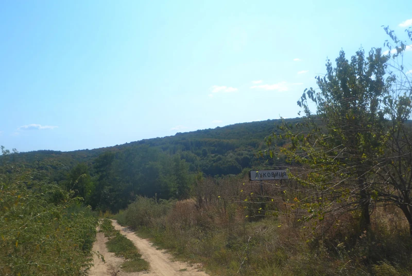 Lukowyzja