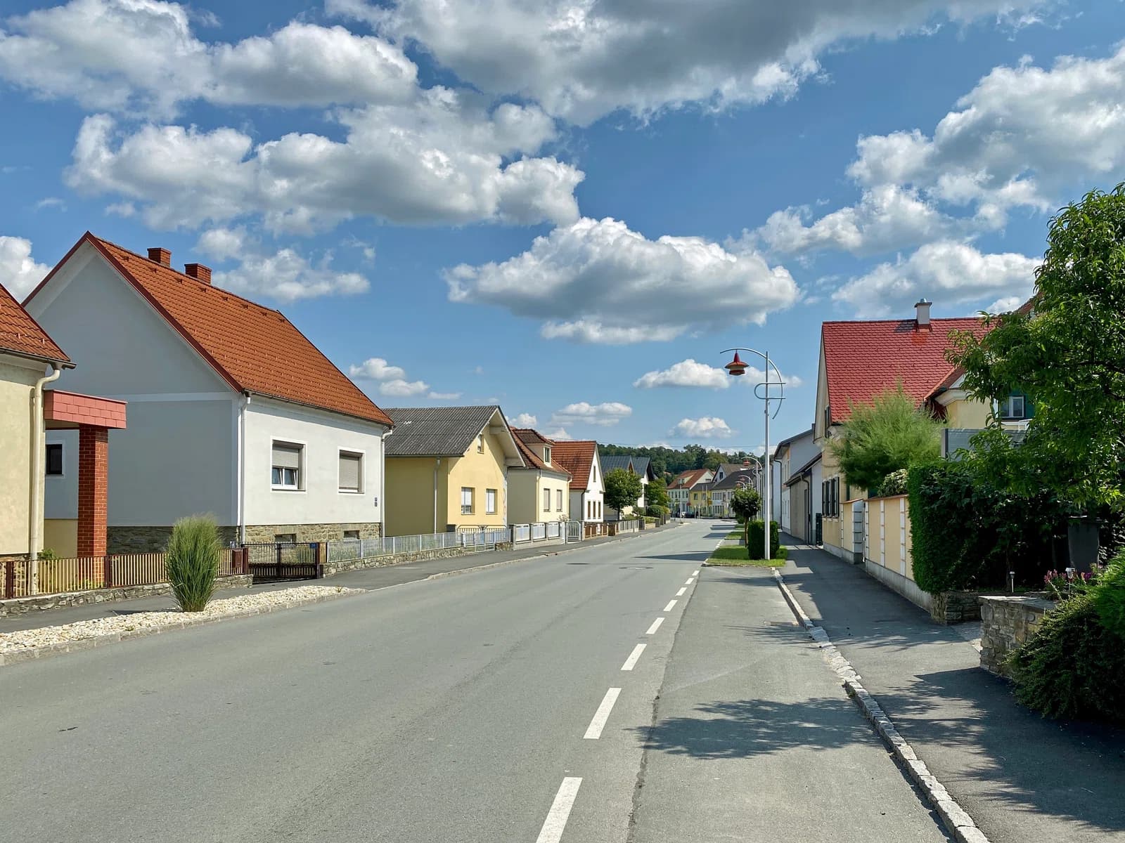 Kohfidisch