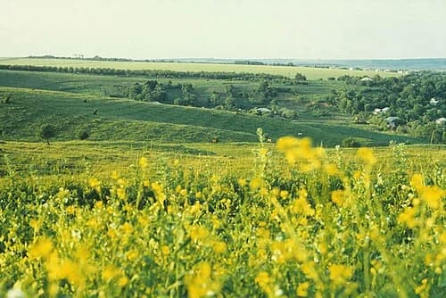 Mălăiești