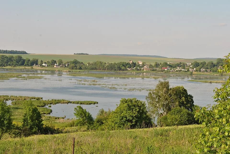 Malashivtsi