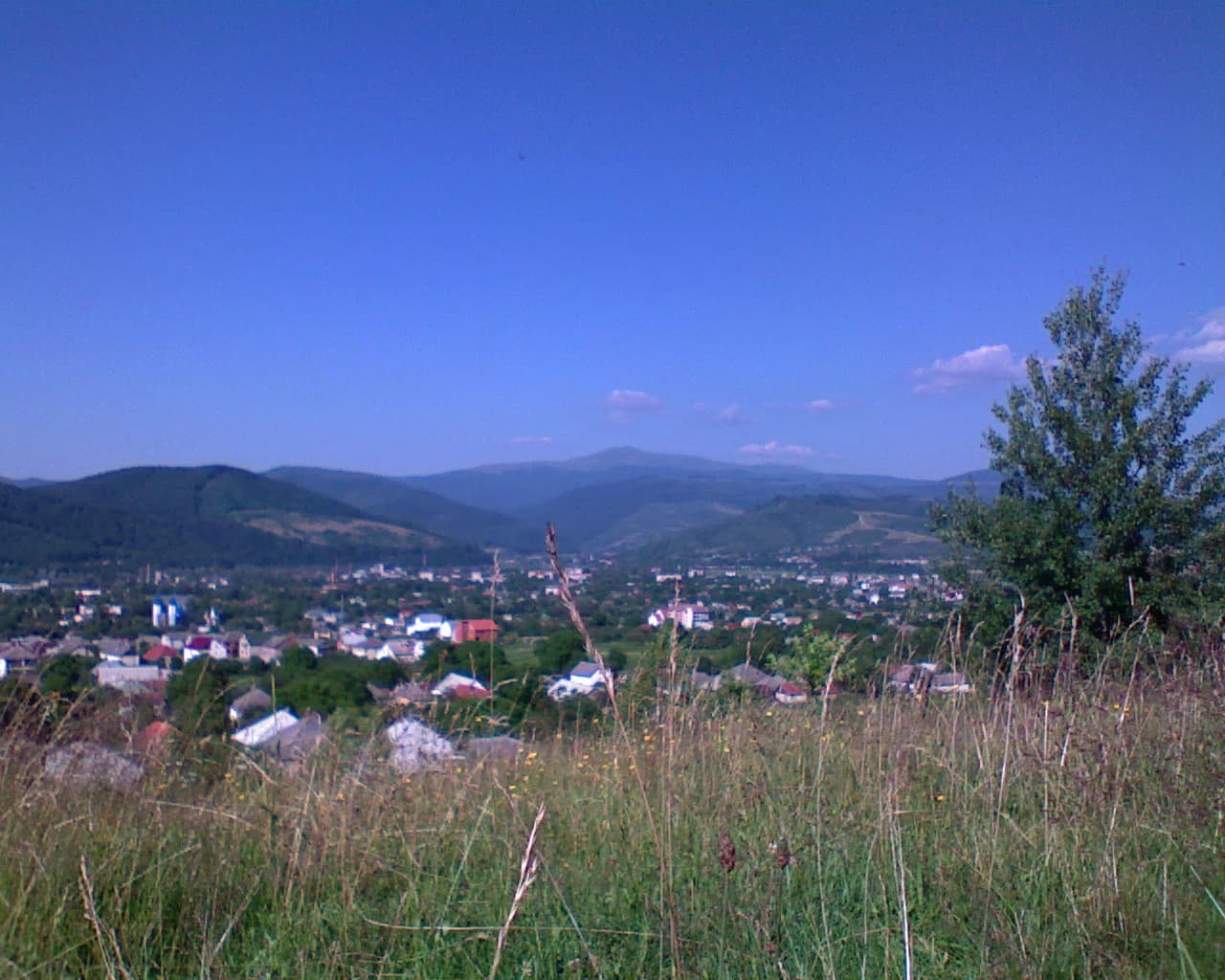 Rajon Swaljawa