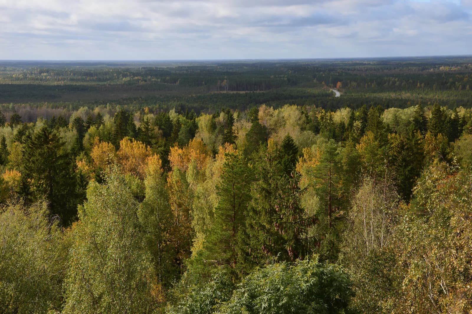 Alutaguse Rural Municipality