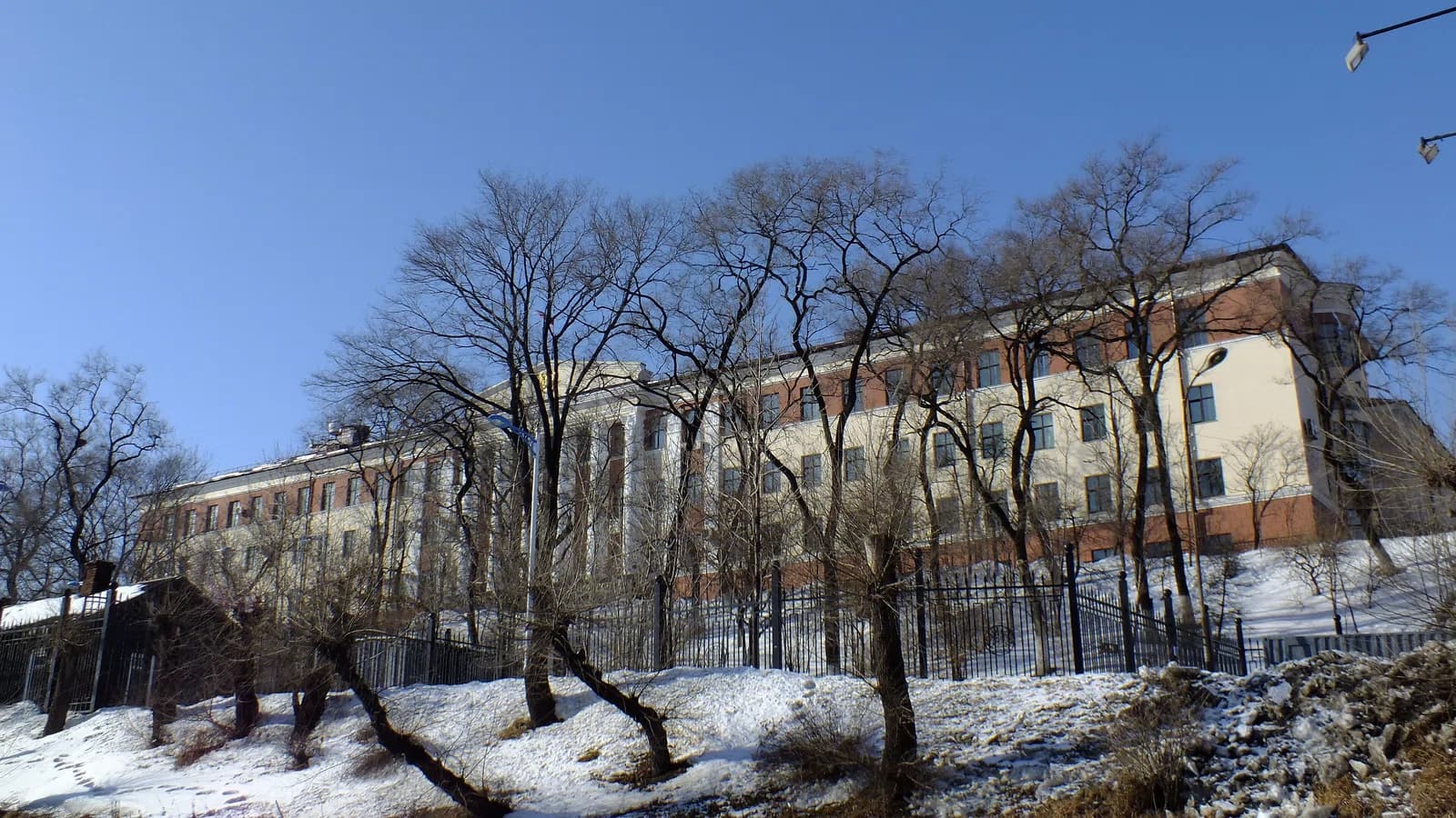Maritime State University named after Admiral G. I. Nevelskoy