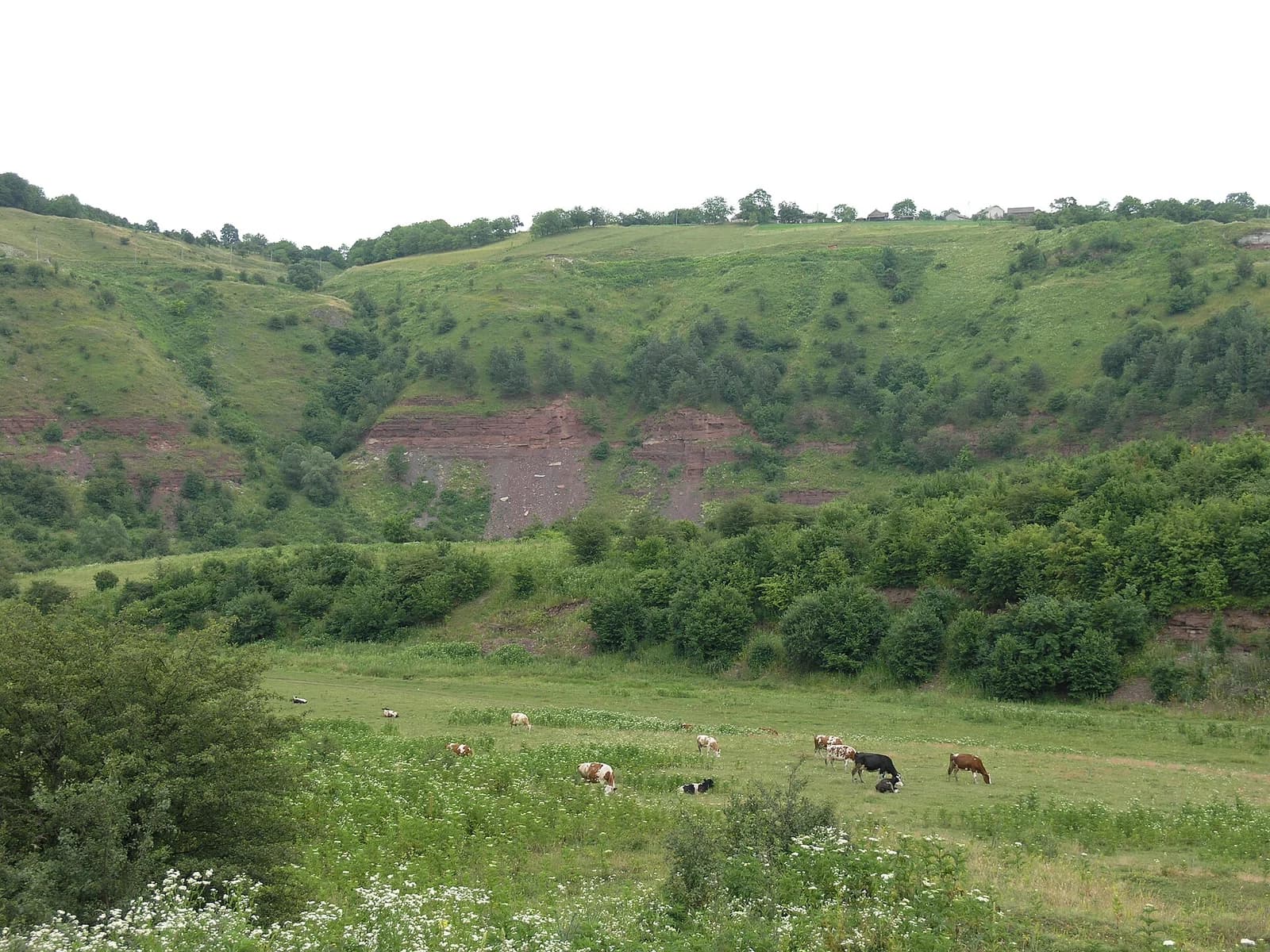 Nahorjany