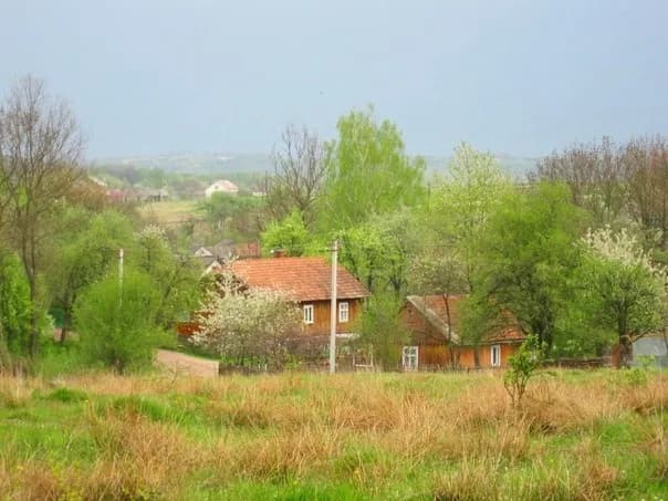 Nadyby