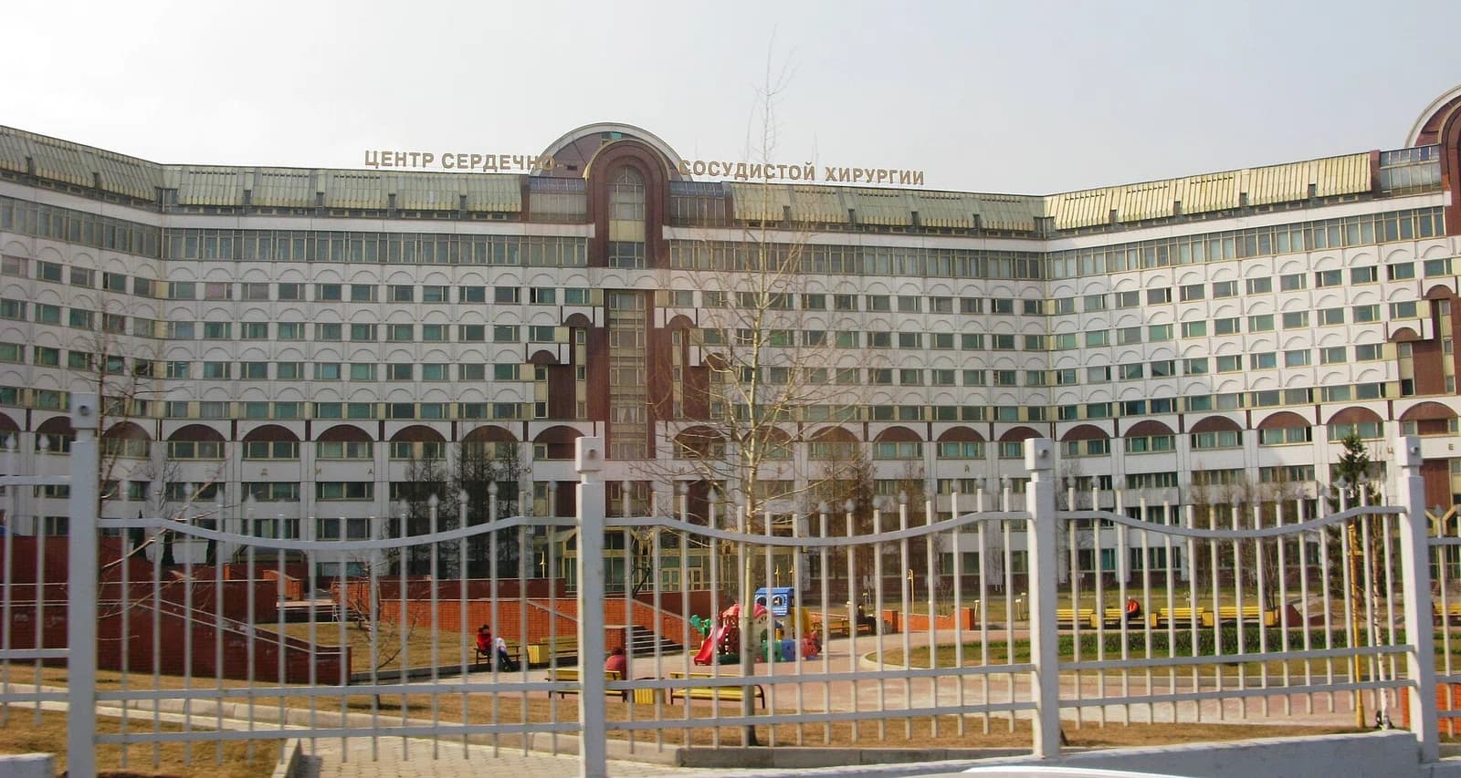 Bakulev Scientific Center of Cardiovascular Surgery