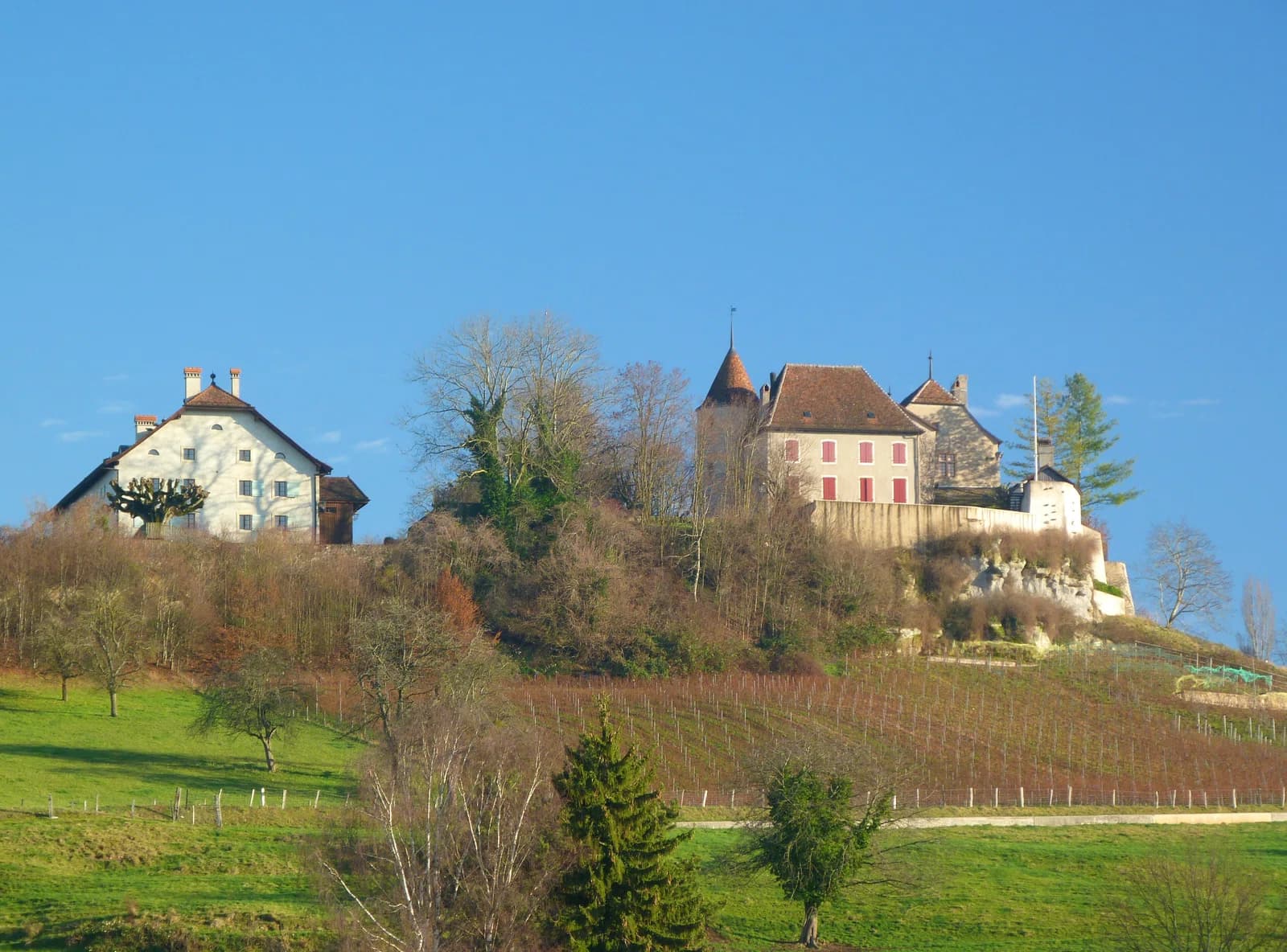 Bavois