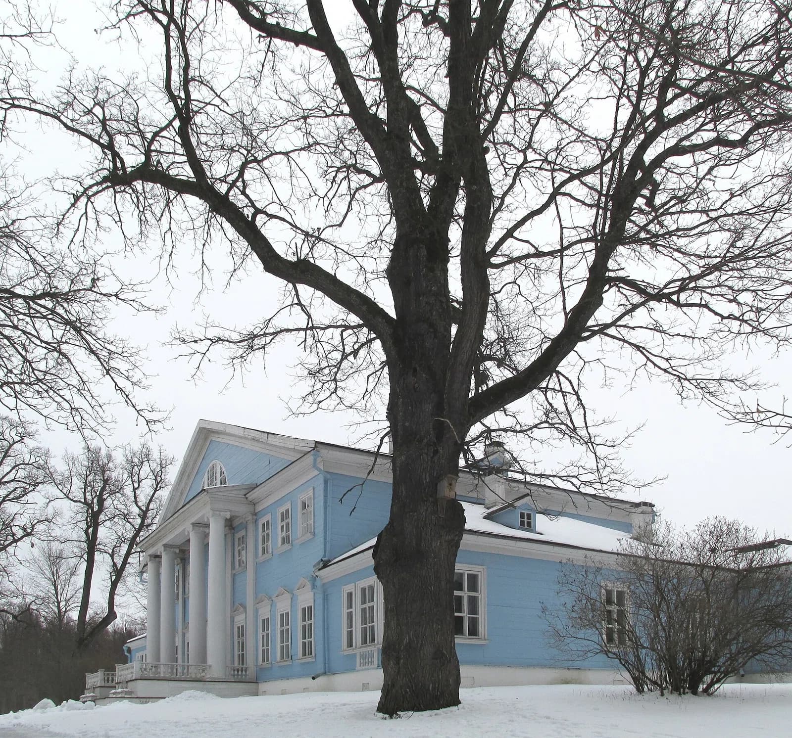 Novospasskoe