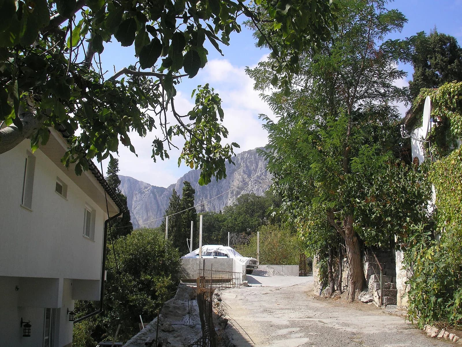 Olyva
