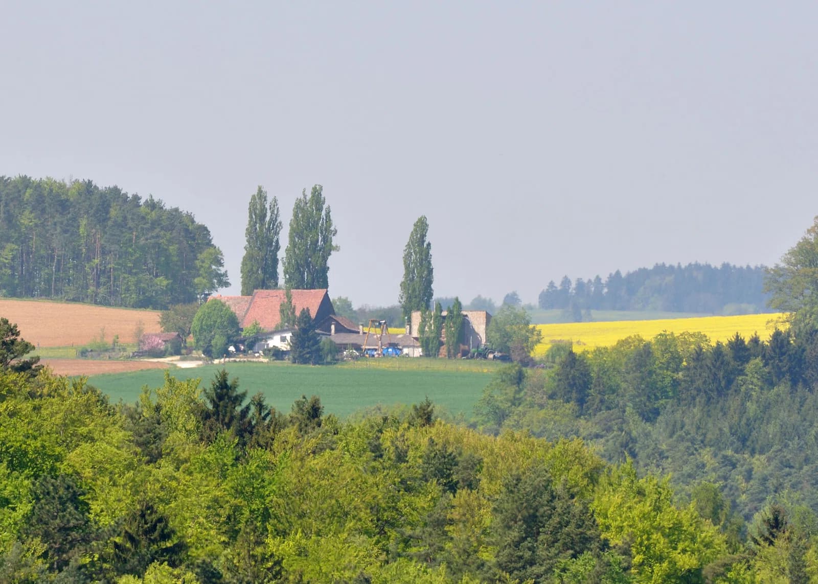 Altdorf