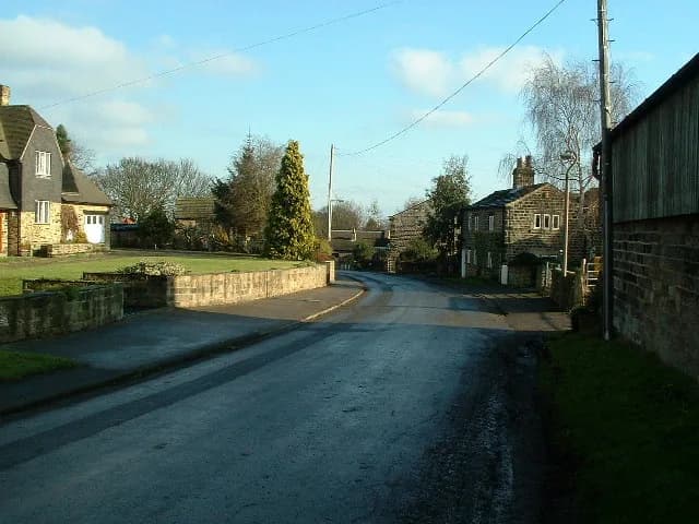 Woolley