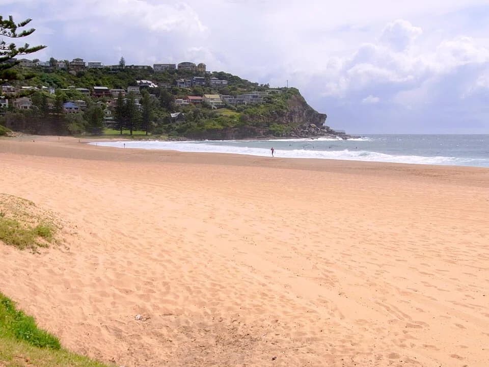 Whale Beach