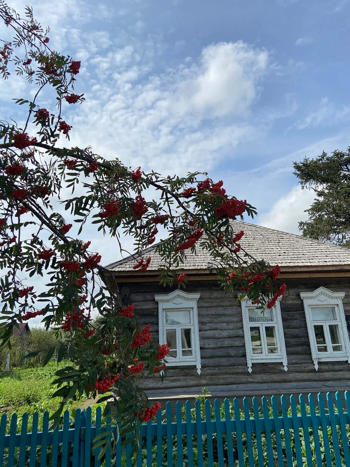 Petrischevo