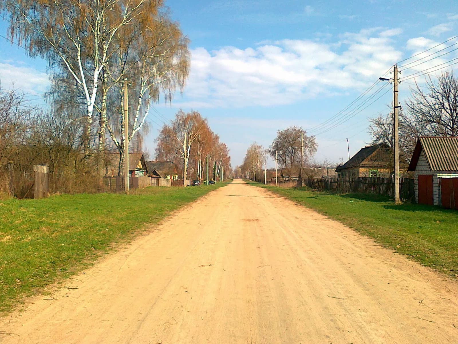 Pliosy