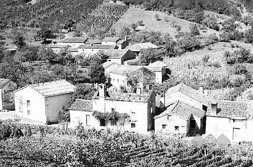 Orehovica