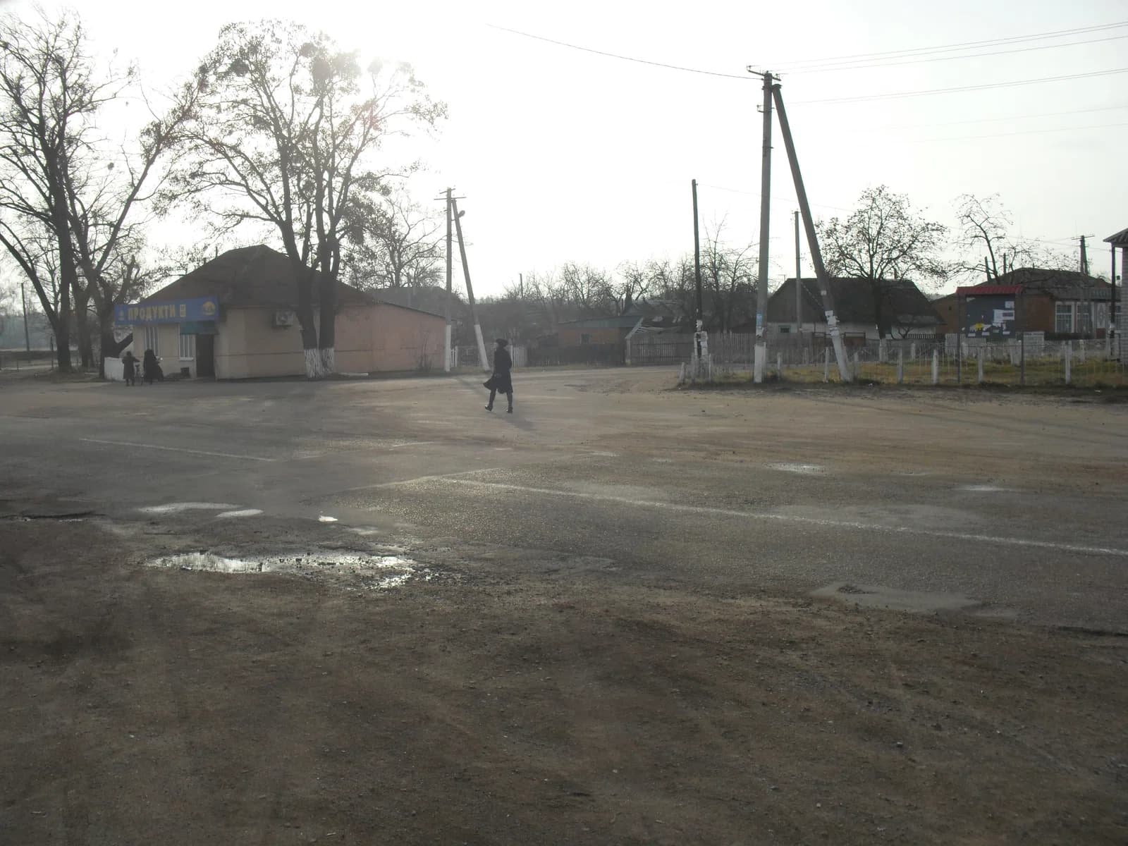 Poliske