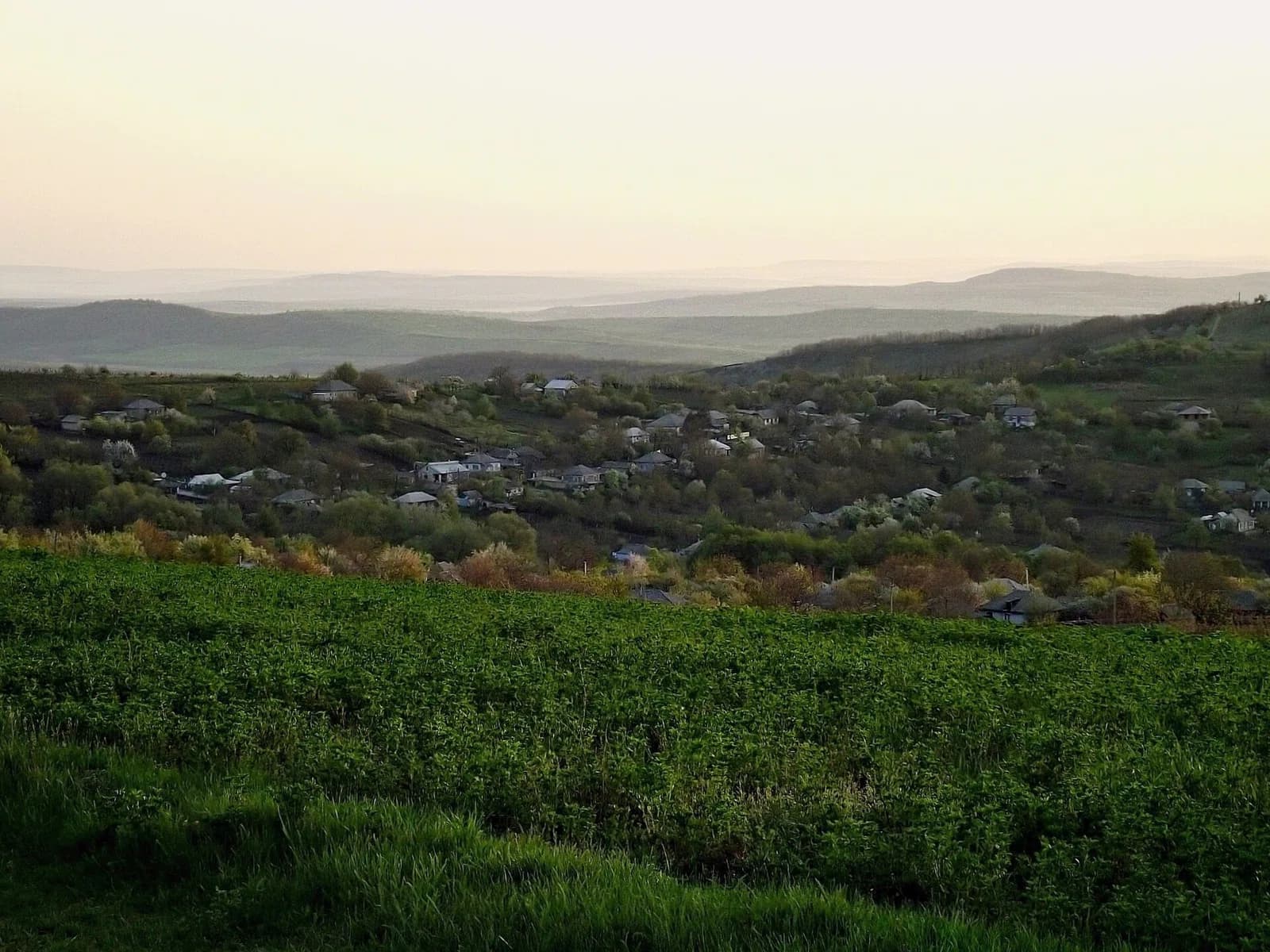 Poiana