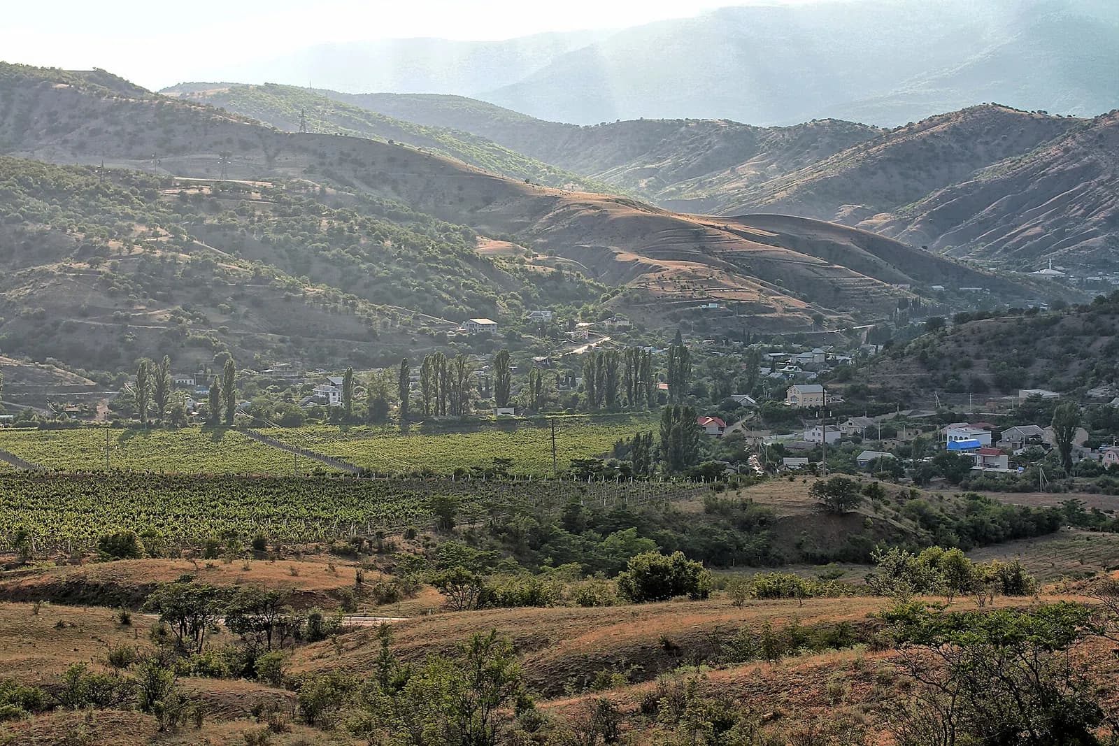 Pryvitne