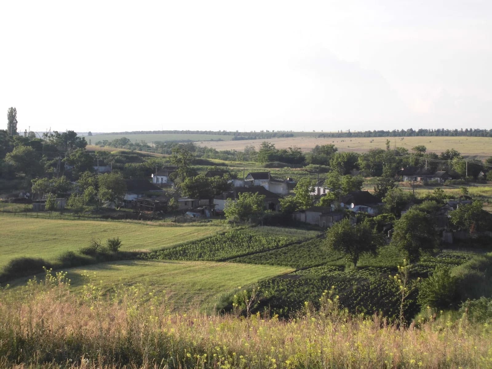 Sednivka
