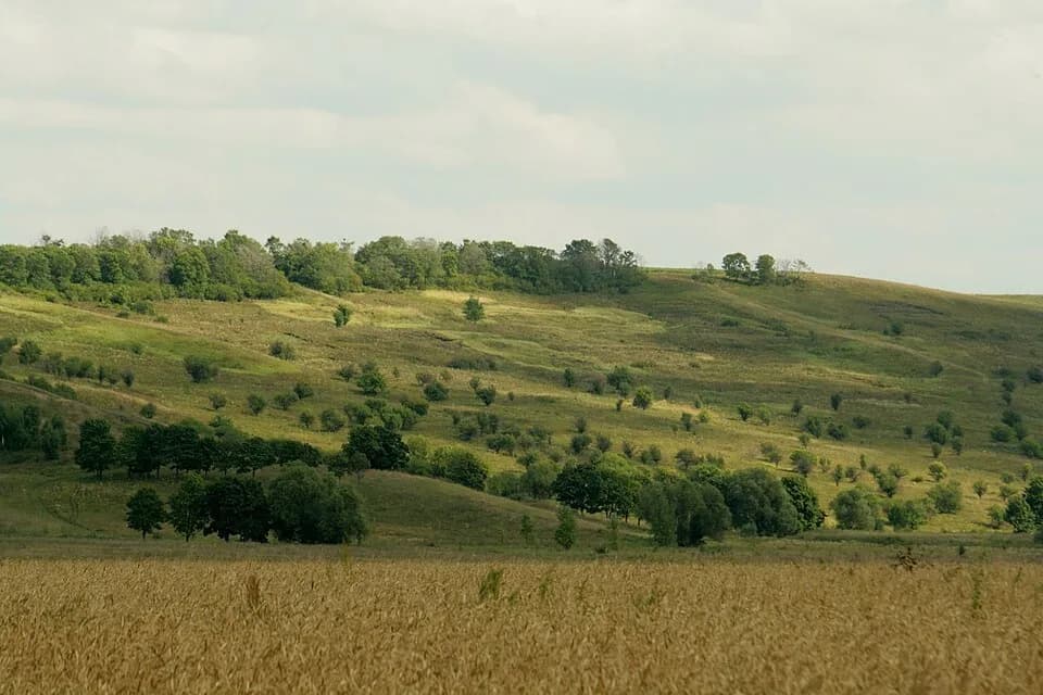 Semyonovka