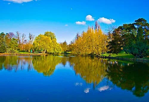 Beddington